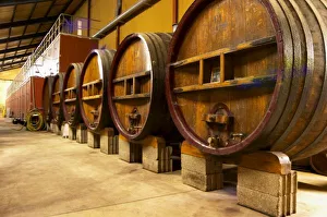 Wine Cellar Impressions: The wine cellar