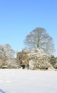 Arbres Impressions: Upper Slaughter