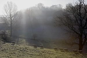 Cotswolds Scenery Impressions: Winter light