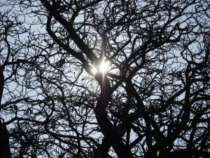 Oxfordshire Landscape Photography Impressions: Two suns