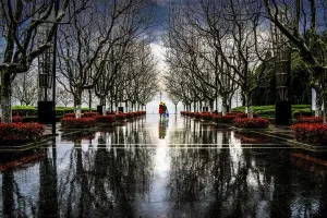 Natural Beauty Images Impressions: Walking in the rain