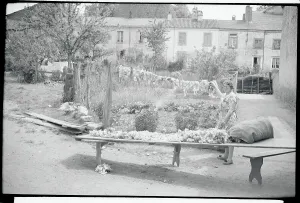 French Village Life Impressions: Drying and Sorting Wool