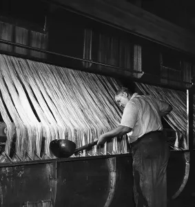 Textile Manufacturing Process Impressions: Processing Rayon