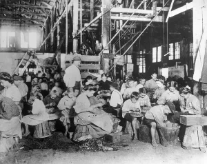 Child Labor Laws Impressions: String Beans Being Processed by Hand