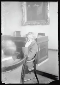 Civil Engineering History Impressions: Side View Portrait of John F Stevens