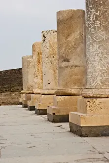 Fars Province Landmarks Impressions: Columns