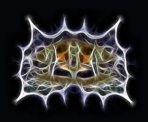 Computer Graphics Illustration Impressions: Fractal object