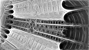 Computer Generated Graphics Impressions: Fractal object