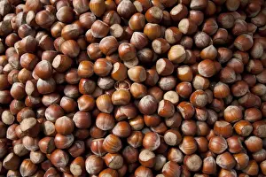 Brown Food Photography Impressions: Hazel nuts, background