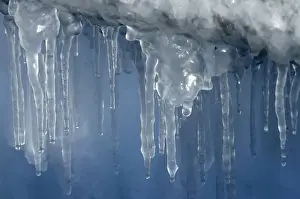 Cold Temperature Photography Impressions: Icicles