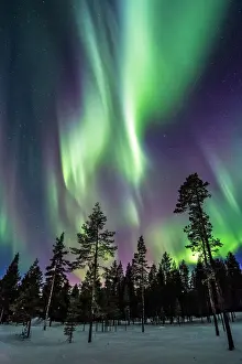 Impressions de L'aurore éclate au-dessus des forêts gelées de la Laponie suédoise Suède Impressions: Laponie Aurora Boreale