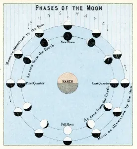 Impressions de Gravure ancienne montrant les Phases de la Lune, 1891 Dévoiler l'Univers : Une collection époustouflante d'images d'astronomie: Les Phases de la Lune.