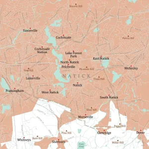 Digitally Generated Cartography Impressions: MA Middlesex Natick Vector Road Map