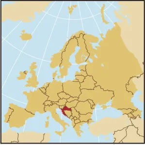 Vintage Maps Online Impressions: Reference Maps, 107960533