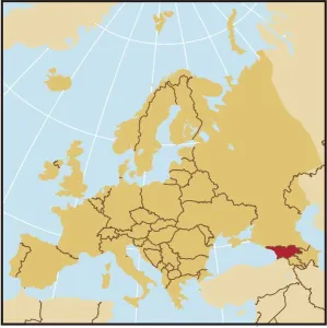 Vintage Maps Online Impressions: Reference Maps, 107960540
