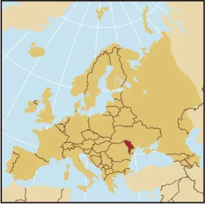 Vintage Maps Online Impressions: Reference Maps, 107960550