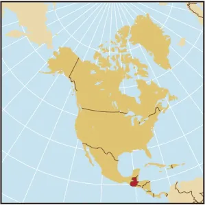 Artistic Maps Online Impressions: Reference Maps, 107960586