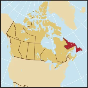 Map Collection Impressions: Reference Maps, 107960613