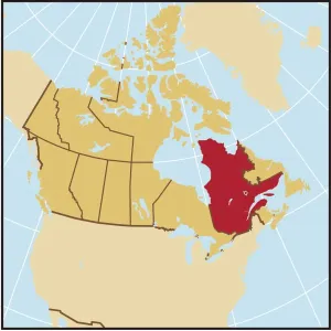 Map Collection Impressions: Reference Maps, 107960627