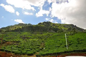 South India Tourism Impressions: Munnar