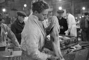 Billingsgate Fish Market Impressions: Checking The Cod