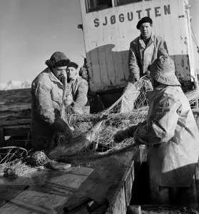 Vintage Boat Photography Impressions: Codfish Trawling