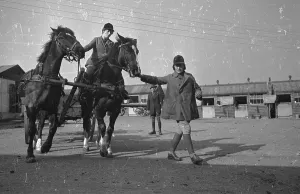 WW2 Women In Uniform Impressions: Horse Training