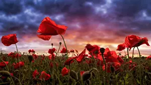 Fine Art Photography Impressions: Remembering