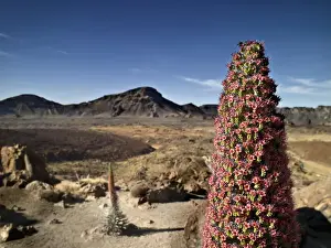 Volcano Photography Impressions: Volcano