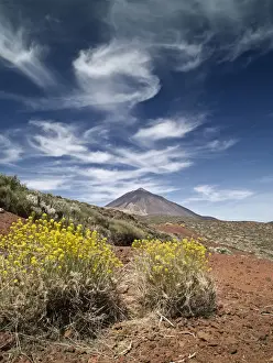 El Teide National Park Impressions: Volcano in spring