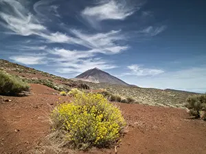 Tenerife Volcano Landscape Impressions: Volcano in springtime