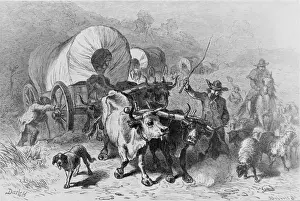 American Pioneer Life Impressions: Wagon Train