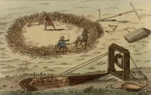 Farm Animal Illustration Impressions: Threshing corn using a horse pulling a sledge