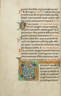 Impression encadrée : Initial décoré D. Impression encadrée : Initial décoré D.