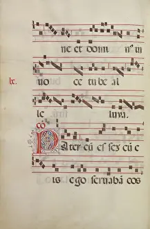 Italian Renaissance Manuscripts Impressions: Decorated Initial P