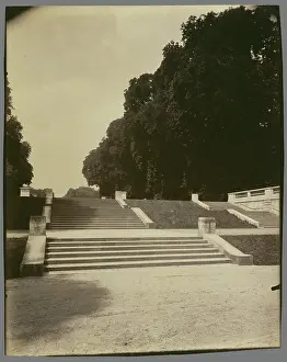 French Photography Collection Impressions: Parc de Saint-Cloud