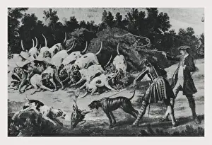 Wild Boar Hunt Impressions: quarry
