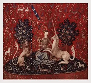 Medieval Tapestry Impressions: Sight