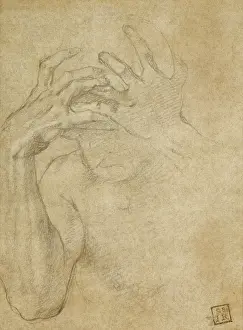 Agnolo Bronzino Paintings Impressions: Study of Jealousy