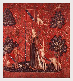 Medieval Tapestry Impressions: Touch