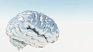 Human Nervous System Illustration Impressions: Binary Brain. 3D rendered