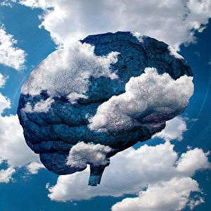 Business Idea Generation Impressions: Brain Cloud