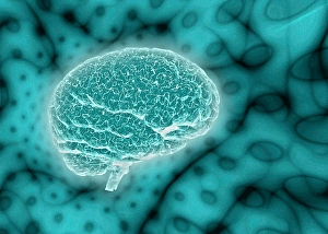 Biomedical Illustrations Of The Brain Impressions: Brain on psychedelic background