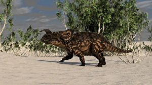 Cretaceous Era Animals Impressions: Brown Einiosaurus in a desert environment