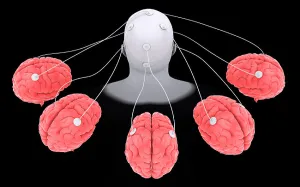 Central Nervous System Anatomy Impressions: Conceptual image of multi-brain processing