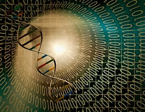 DNA Double Helix Structure Impressions: DNA chain inside tunnel of binary code