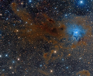 Stellar Evolution Process Impressions: The Iris Nebula in Cepheus