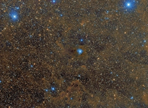Cepheus Constellation Impressions: The Iris Nebula in Cepheus