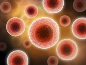 Biomedical Illustrations Impressions: Microscopic view of cell