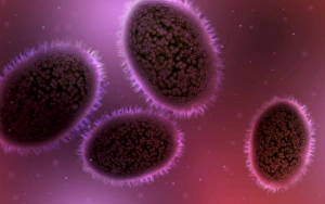 Smallpox Virus Impressions: Microscopic view of samllpox